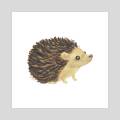 hedgehog